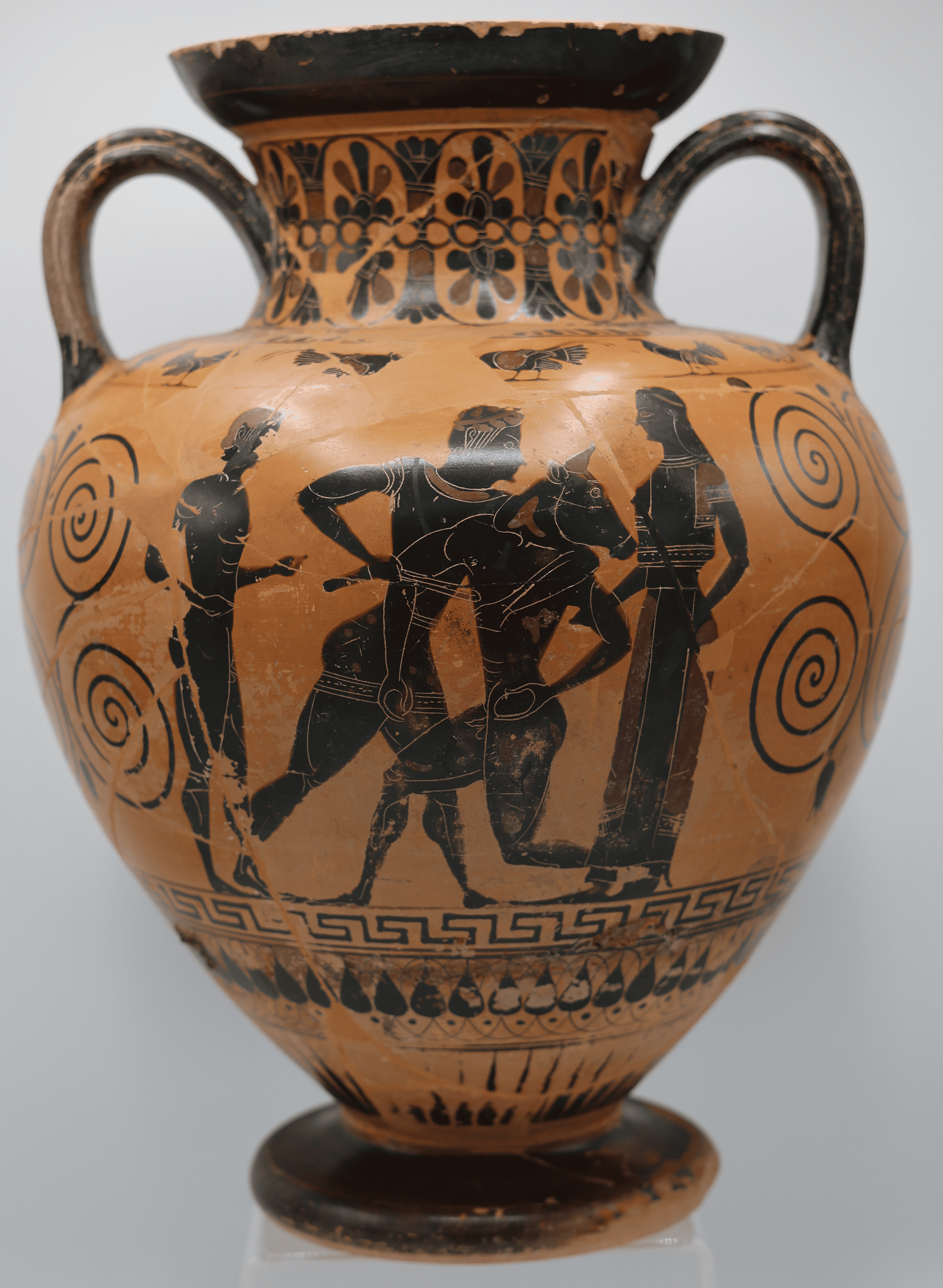 Anfora-attica-a-figure-nere-TumuloCima-Tomba-7-meta-del-VI-secolo-avanti-Cristo