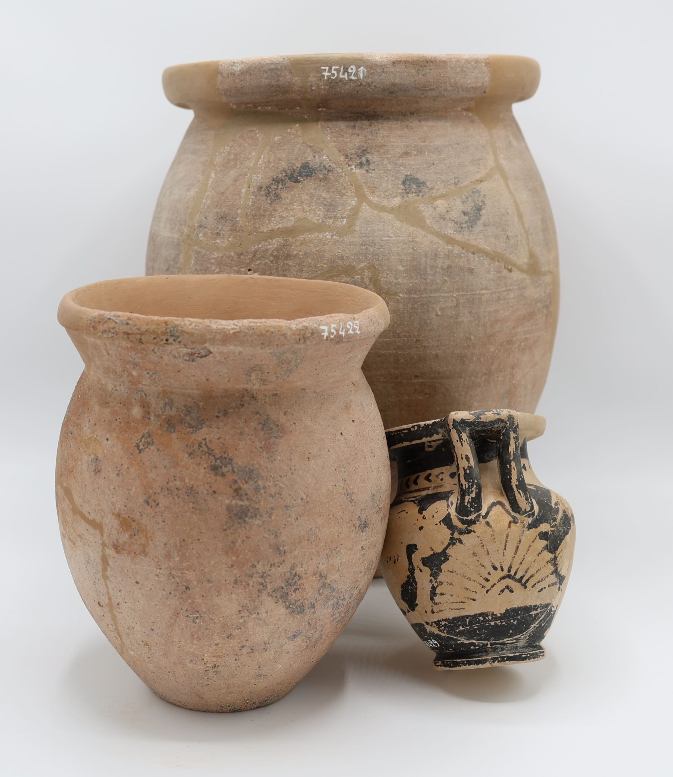 Corredi-ceramici-Tomba-del-Cervo-localita-Caiolo-IV-III-secolo-avanti-Cristo